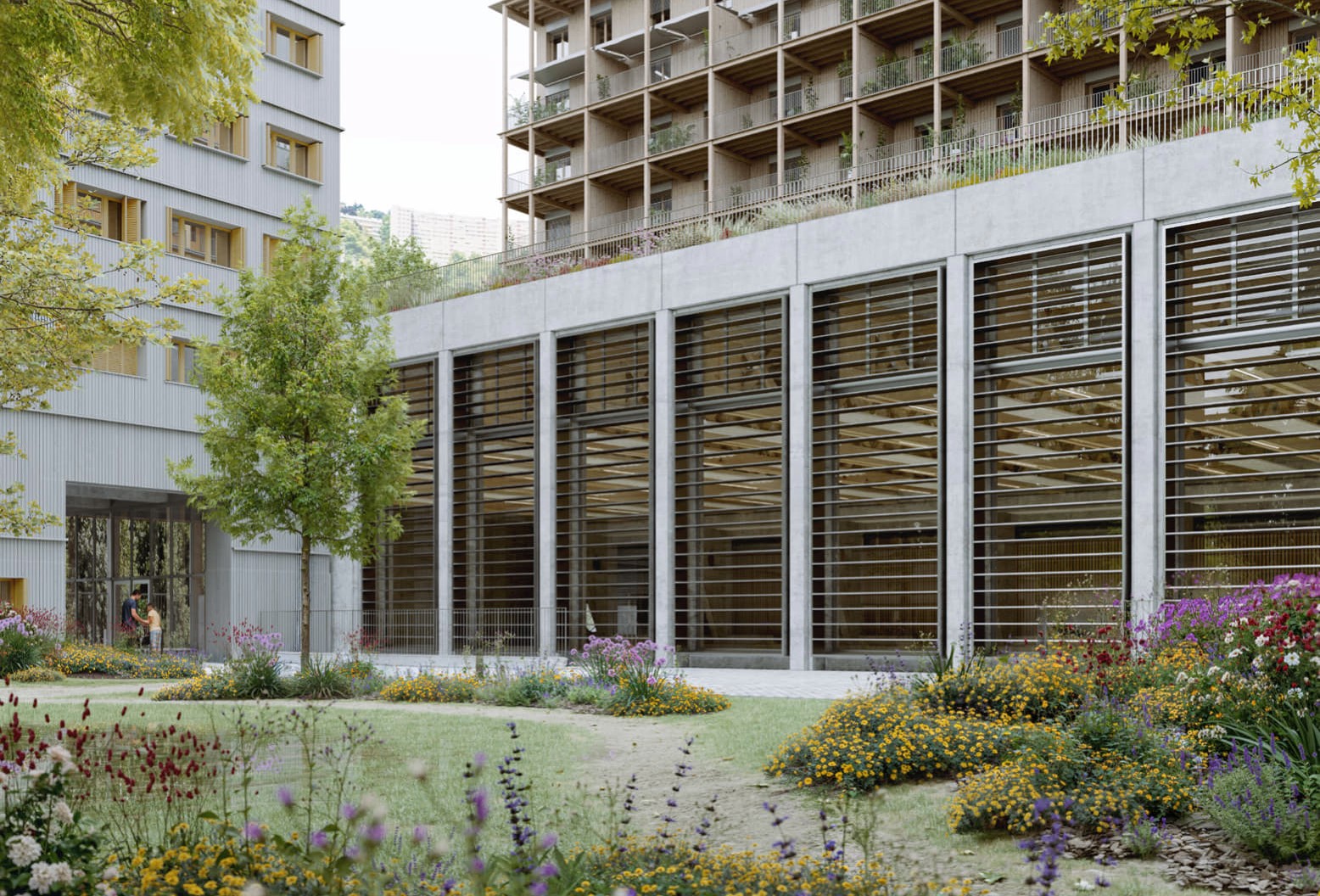 Gymnase_Îlot E4 Nord, Lyon Confluence (69), Tectoniques,  2 348 m²